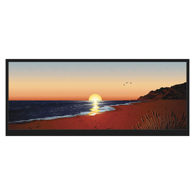 태양광 읽기 쉬운 HDMI LCD 디스플레이 12.3 인치 1920x720 LCM-TFT123T61FHHDVNSDC